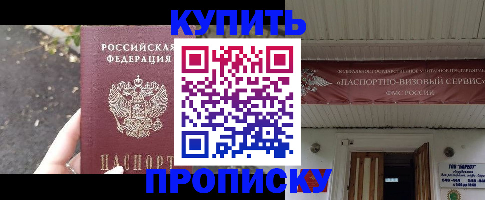 где прописаться в Советске